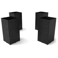 Vegas - Rent - 10x30